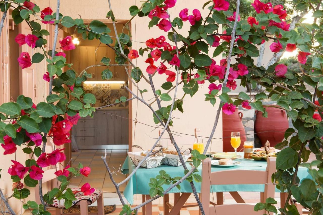 White Sand Villa. Spacious Villa With Prive Pool. Agia Pelagia Exteriör bild